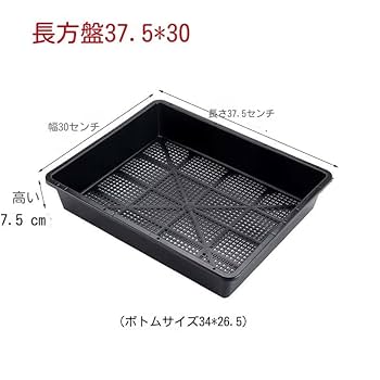 計10本セット苗 Amazon.co.jp: 育苗ポット 苗トレー 10セット 育苗トレイ育苗箱